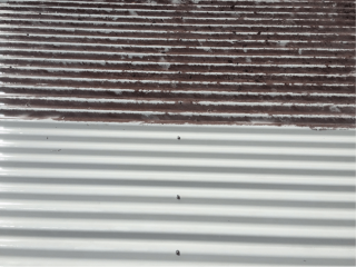 Full Circle Refinishing - Roof Cleaning Before and After Rusty Roof Comparison Full Circle Refinishing - Roof Cleaning